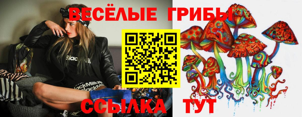 Горячий Ключ  Псилоцибиновые грибы Psilocybe  Вход с VPN 