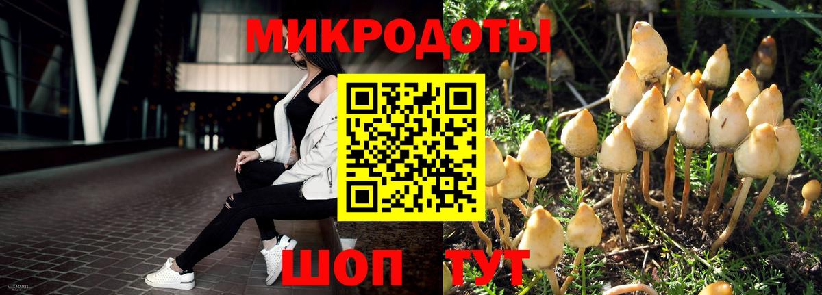 Псилоцибиновые грибы мухоморы Горячий Ключ